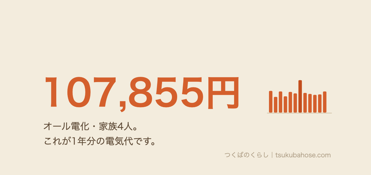 ¥u30aa¥u30fc¥u30eb¥u96fb¥u53164¥u4eba¥u5bb6¥u65cf¥u306e1¥u5e74¥u9593¥u306e¥u96fb¥u6c17¥u4ee3¥u306f107855¥u5186¥u3068¥u3044¥u3046¥u56f3